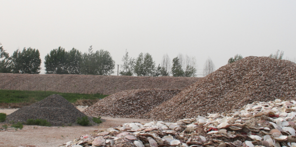 乾港集团 乾港集团