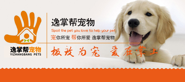 宠物服务